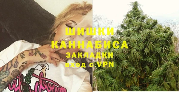 прущие грибы Абдулино