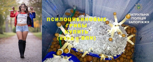 прущие грибы Абдулино
