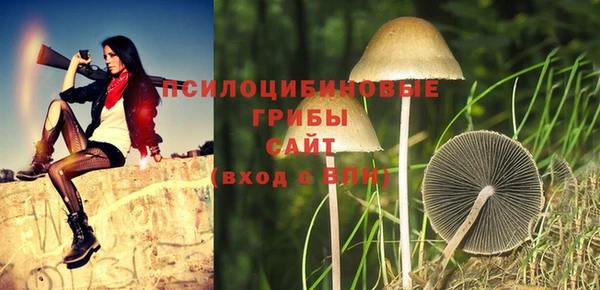 прущая мука Абинск