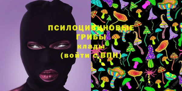марки lsd Абаза
