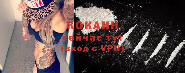 мескалин Ельня