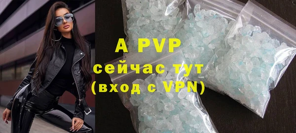 прущие грибы Абдулино