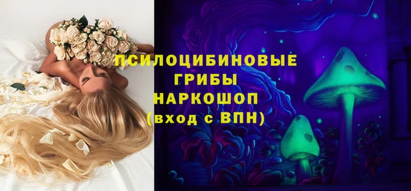 марки lsd Абаза