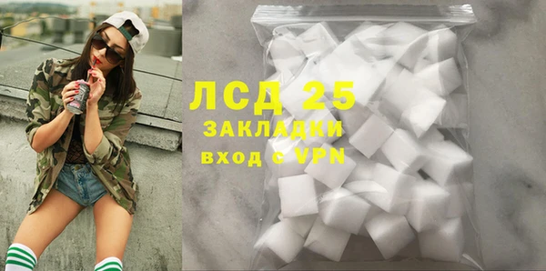 стаф Алзамай