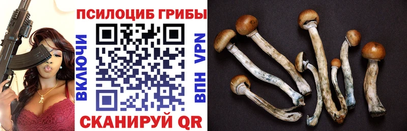 Псилоцибиновые грибы Magic Shrooms  Кумертау 